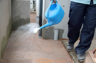 優しく散水しましょう 優しく散水しましょう